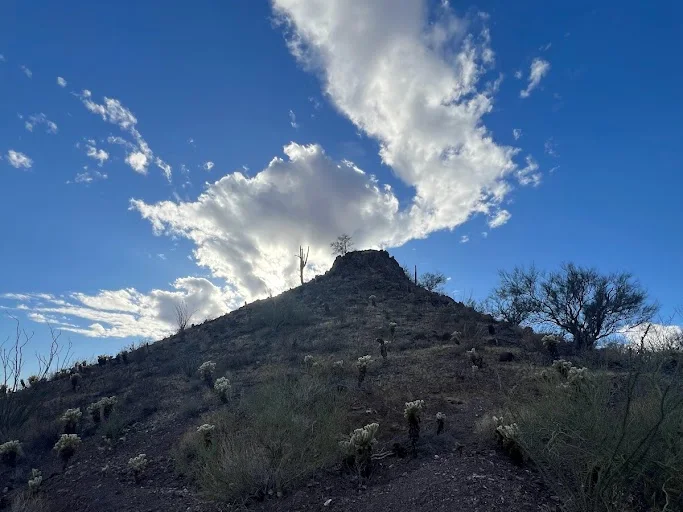 Looking up a desert hillside toward a bright blue sky with a large white cloud